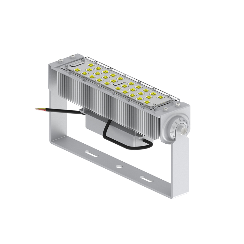 AN-TGD03-100w luce di inondazione a LED modulare regolabile