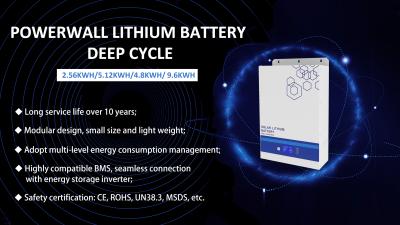 Ciclo profondo della batteria al litio Powerwall